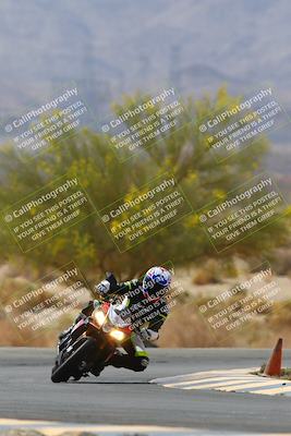 media/Apr-10-2022-SoCal Trackdays (Sun) [[f104b12566]]/Turn 5 Tree of Life (1040am)/